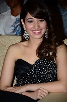 Tamanna Spicy Photos